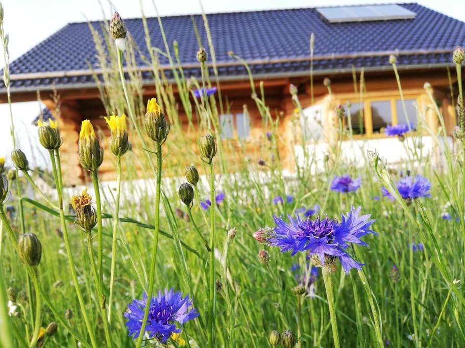 4 Sterne Ferienwohnung Stammzeit Nettersheim Εξωτερικό φωτογραφία